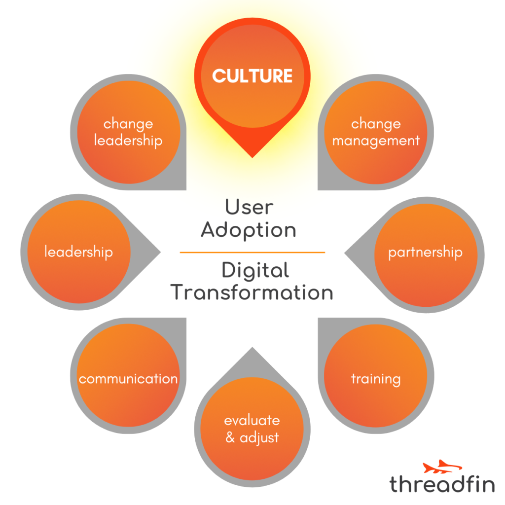 User Adoption in Digital Transformation: Culture