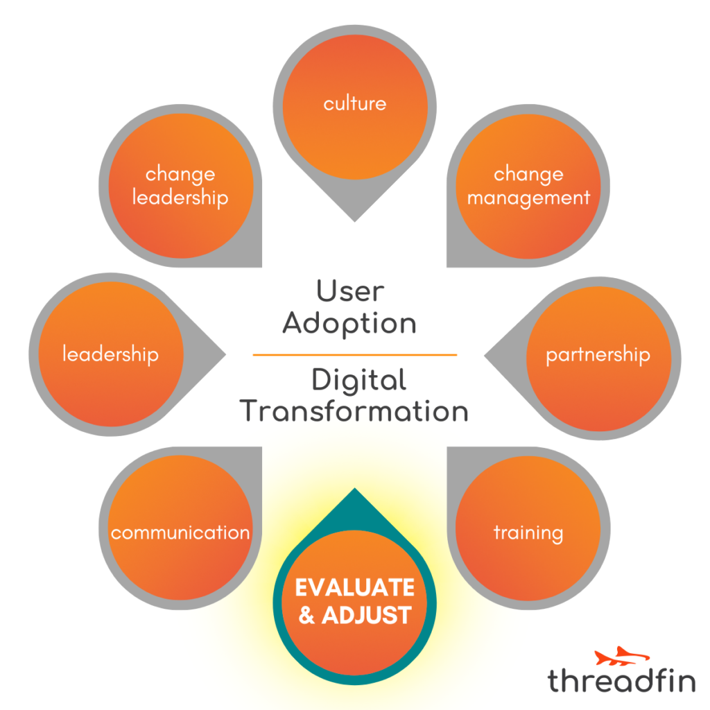 User Adoption in Digital Transformation: Evaluate & Adjust